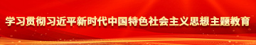 大奶白虎妹子被插到爽流学习贯彻习近平新时代中国特色社会主义思想主题教育